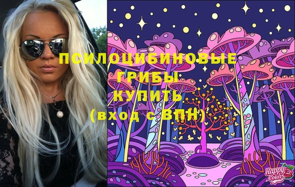 твердый Пересвет