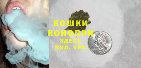 спиды Богородицк
