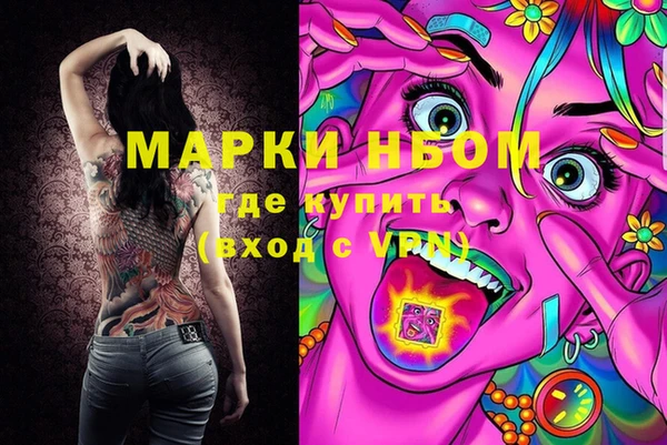 спиды Богородицк