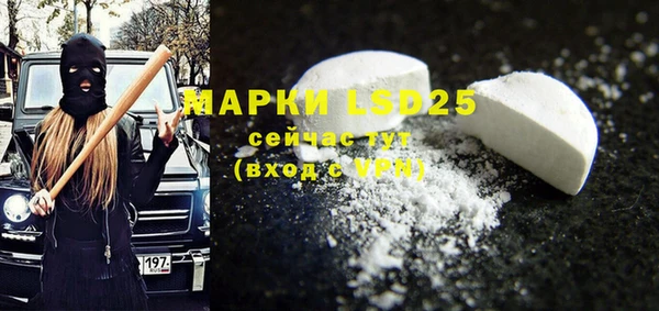 спиды Богородицк