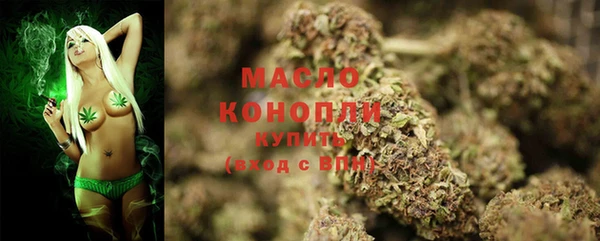 спиды Богородицк